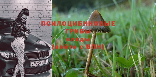 ECSTASY Дмитровск