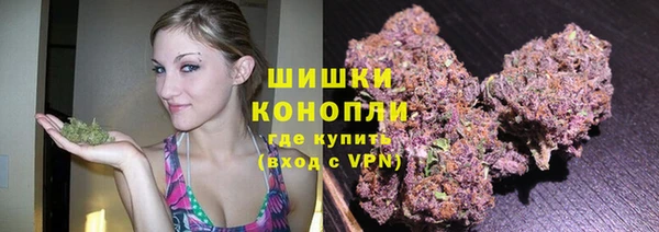 spice Гусь-Хрустальный