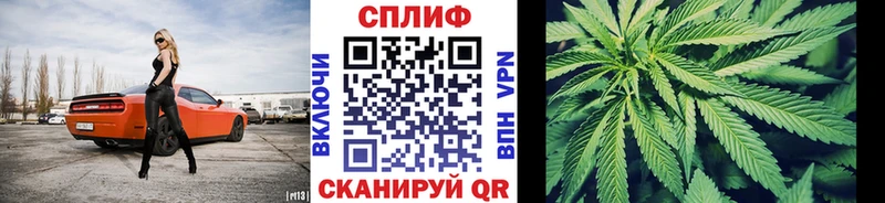 мориарти телеграм  Ядрин  Марихуана ГИДРОПОН  где можно купить наркотик 